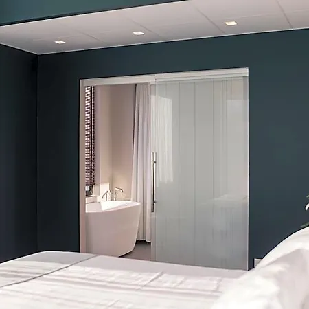 Wasa Hotel, & Hotel 4*