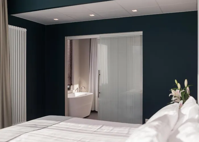 فندق Wasa Hotel, & 4*